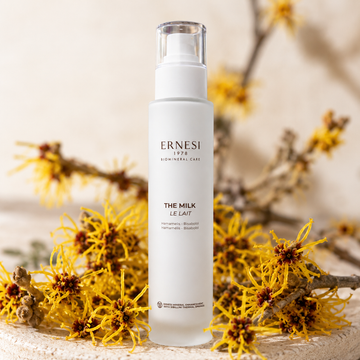 Amamelide: proprietà, benefici e usi cosmetici